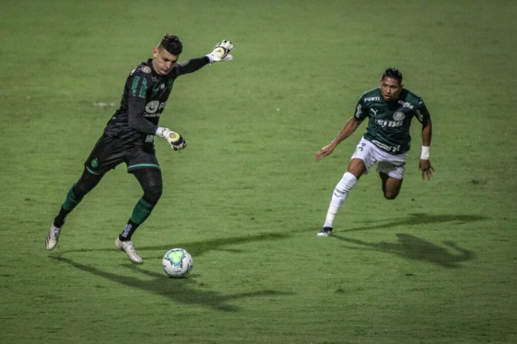 Foto: Divulgação | Coritiba