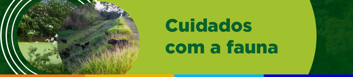 DD-0114-25-Web-banner-Infosul-1230x270px