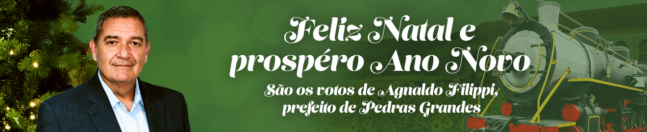 Infosul-Banner-Natal-Agnaldo-fillipi