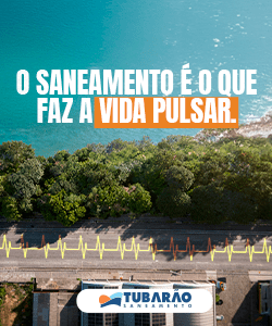 Infosul 250px larg x 300 px - 2