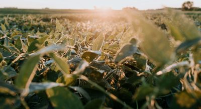 Foto: Unsplash | Kelly Sikkema