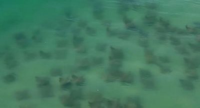 Foto: Frame Josimar Santos