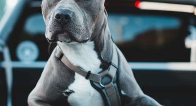 Foto: Unsplash | Jonathan Cooper