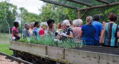 Foto: divulgação | Parque Diamante