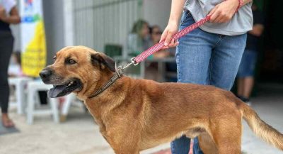 Foto: divulgação | PML