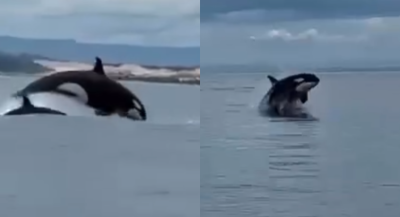 PADRÃO FOTOS_20251226_174805_0000