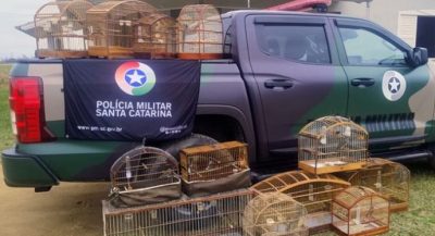 Foto: Polícia Militar Ambiental